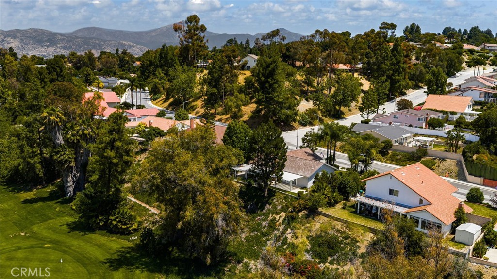 1807 Via Palomares