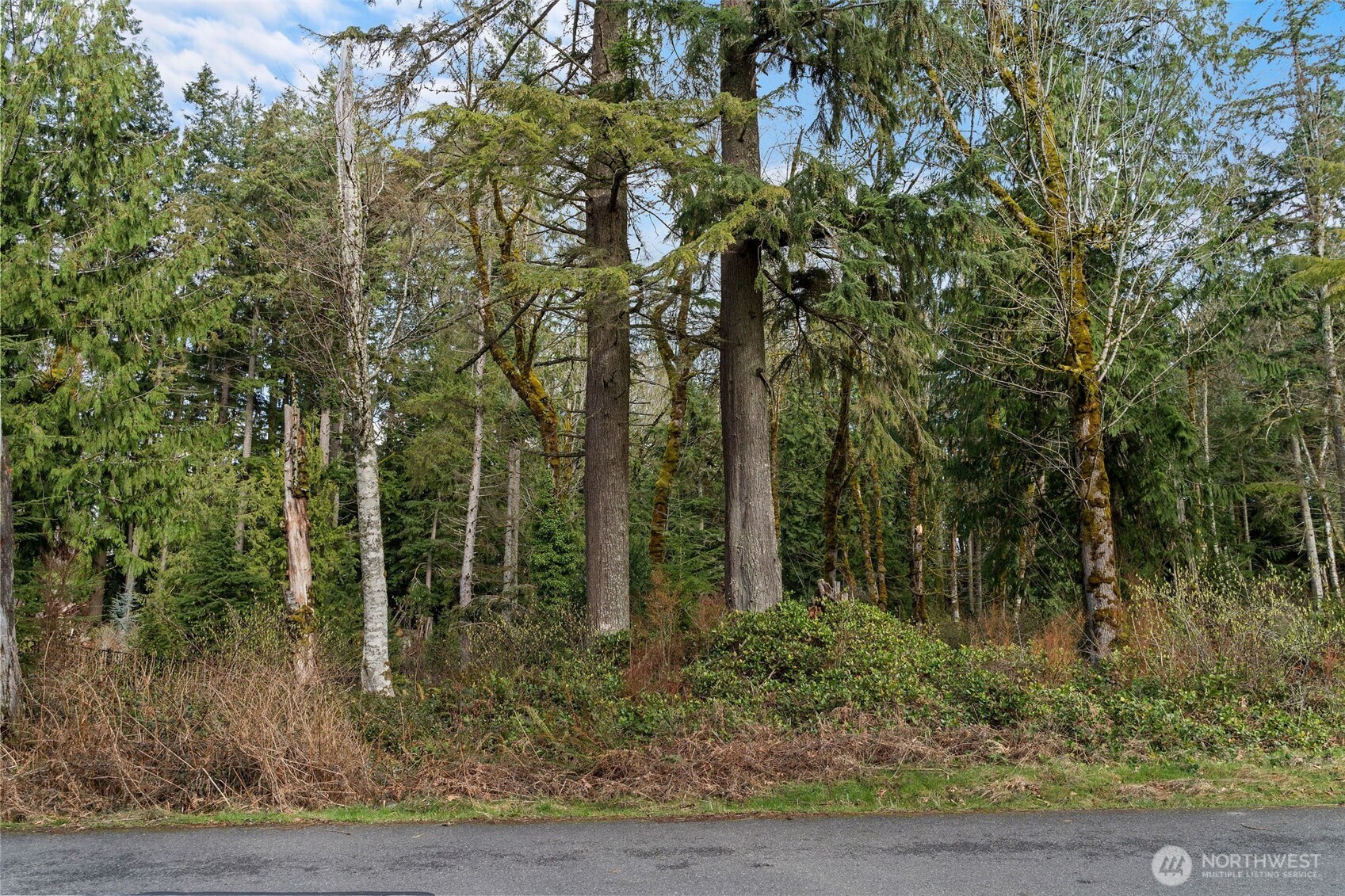 27117 SE Grand Ridge Drive