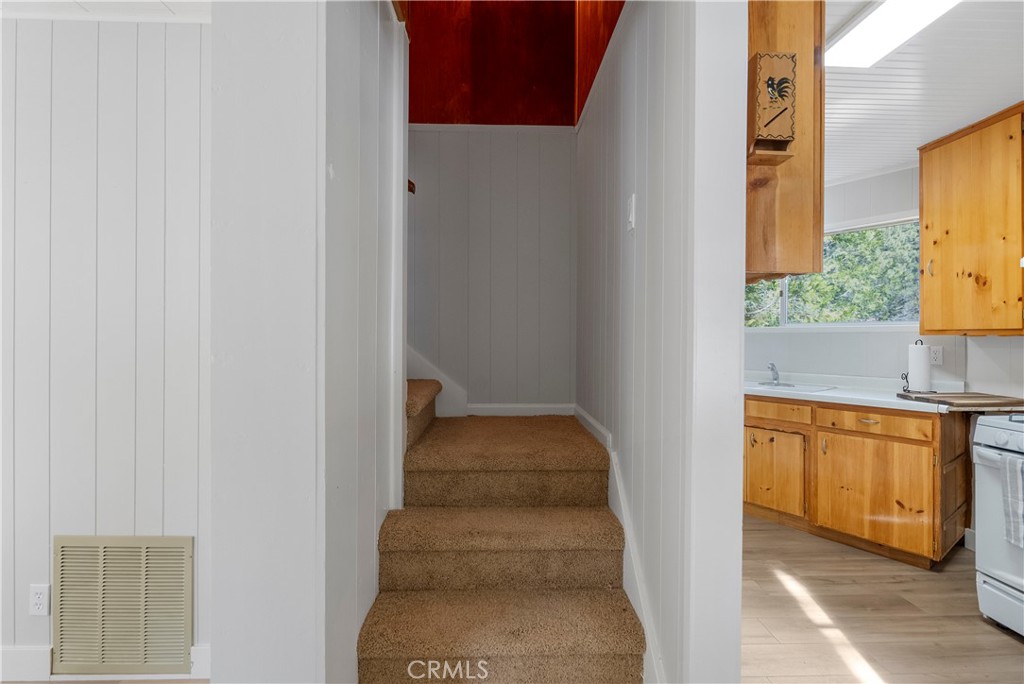 32806 Porcupine Lane