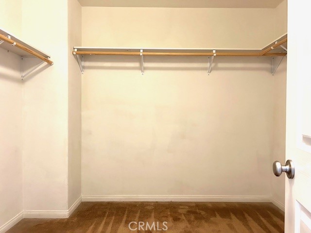 25421 Camellia Street