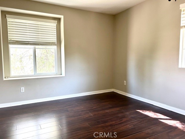 25421 Camellia Street