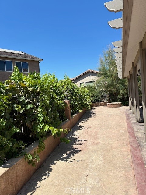 25421 Camellia Street