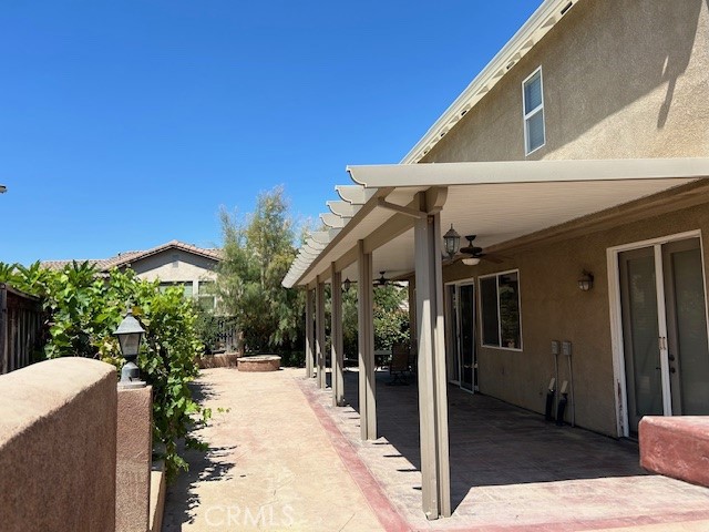 25421 Camellia Street