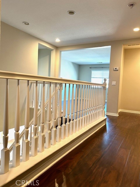 25421 Camellia Street