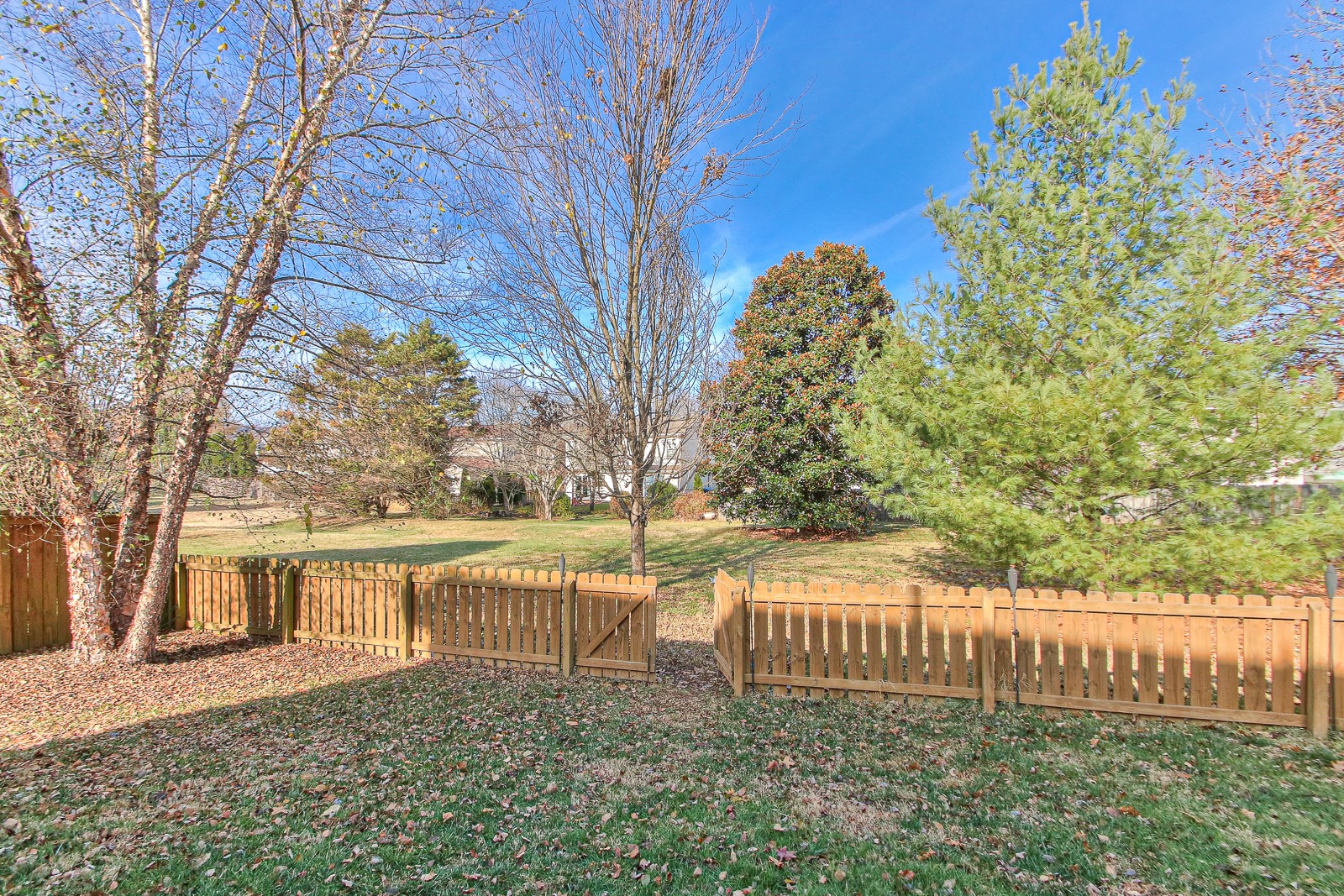 3230 Dark Woods Dr