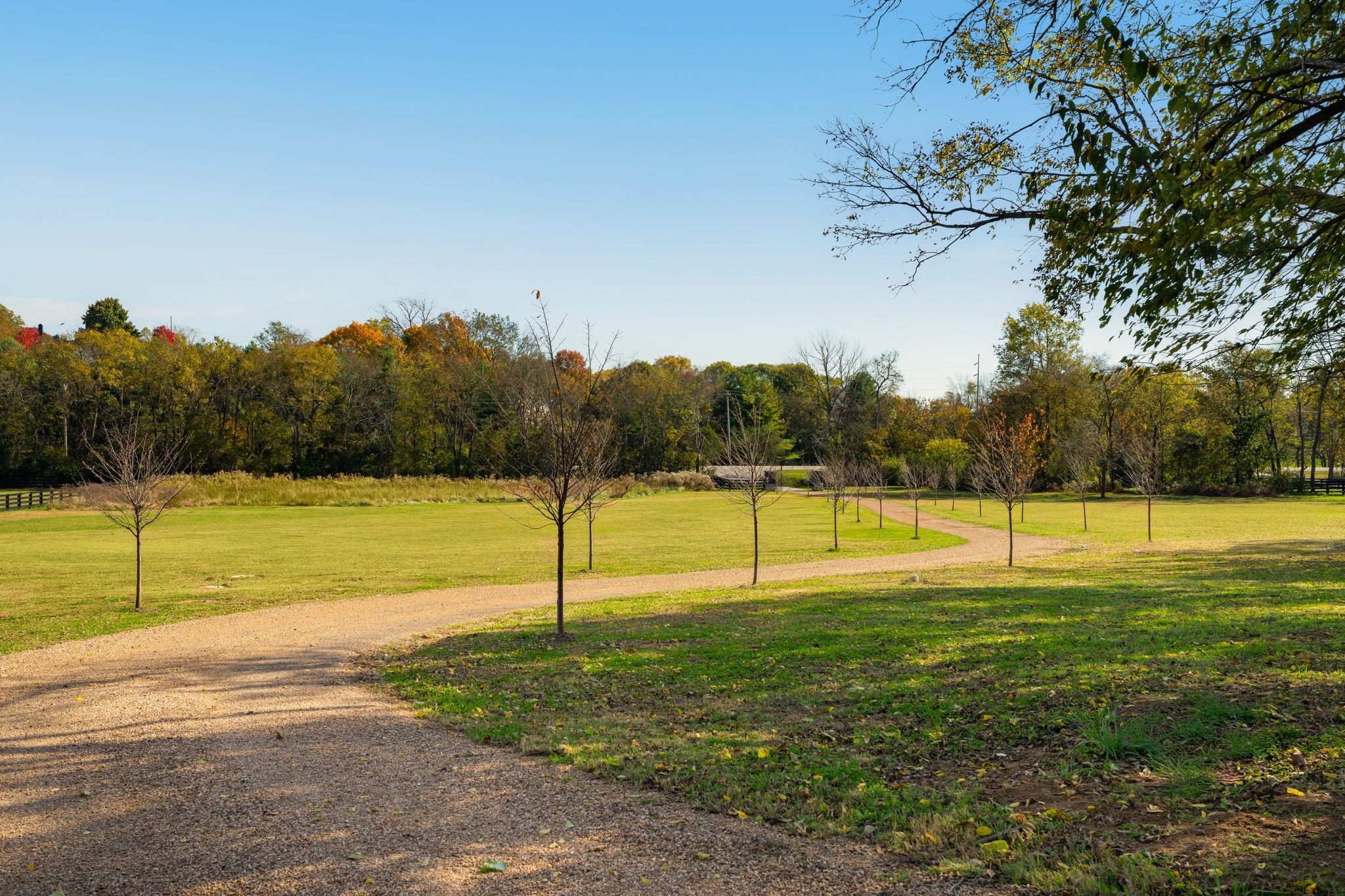 2572 Goose Creek Byp