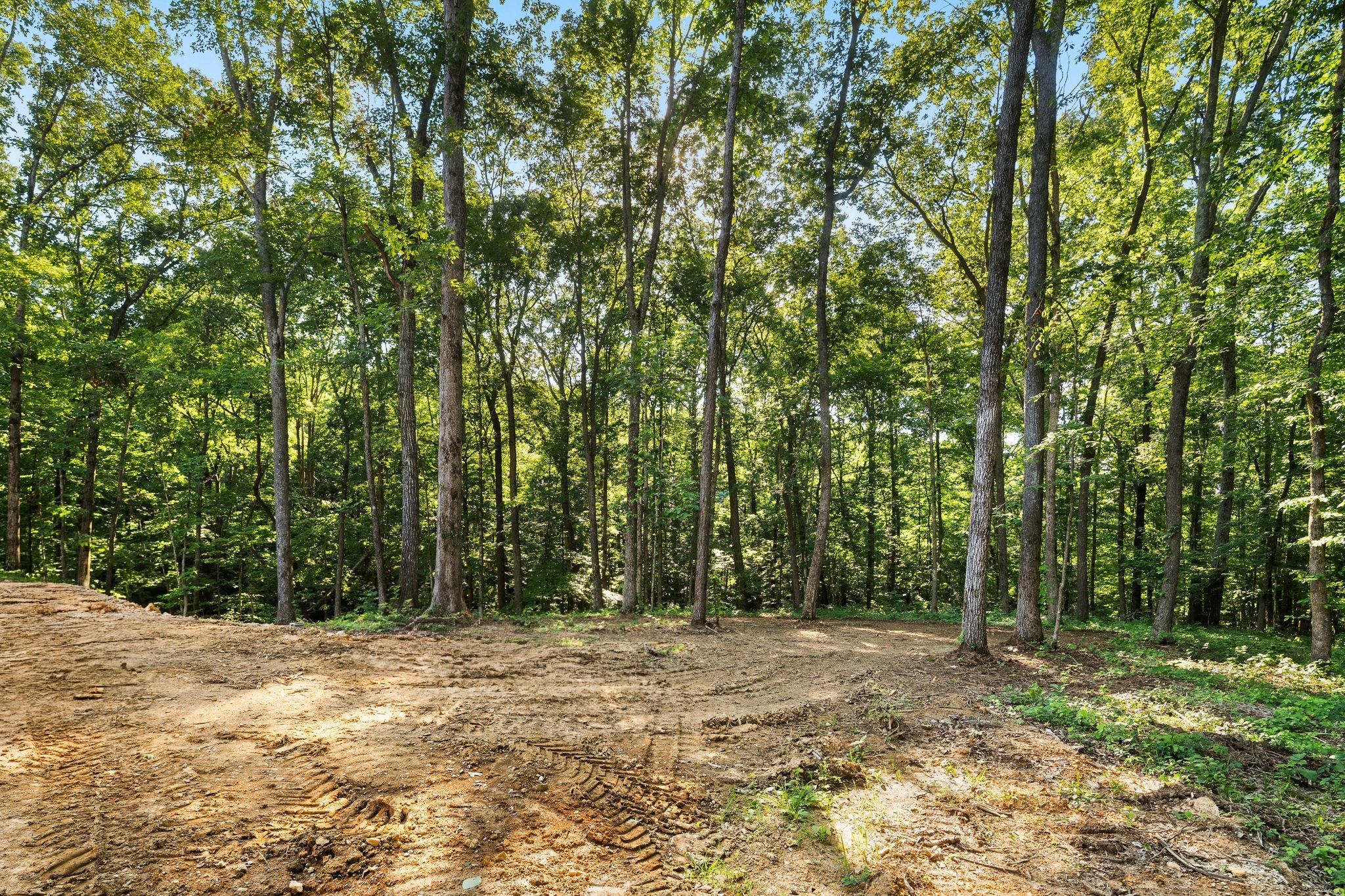 5900 Pinewood Rd