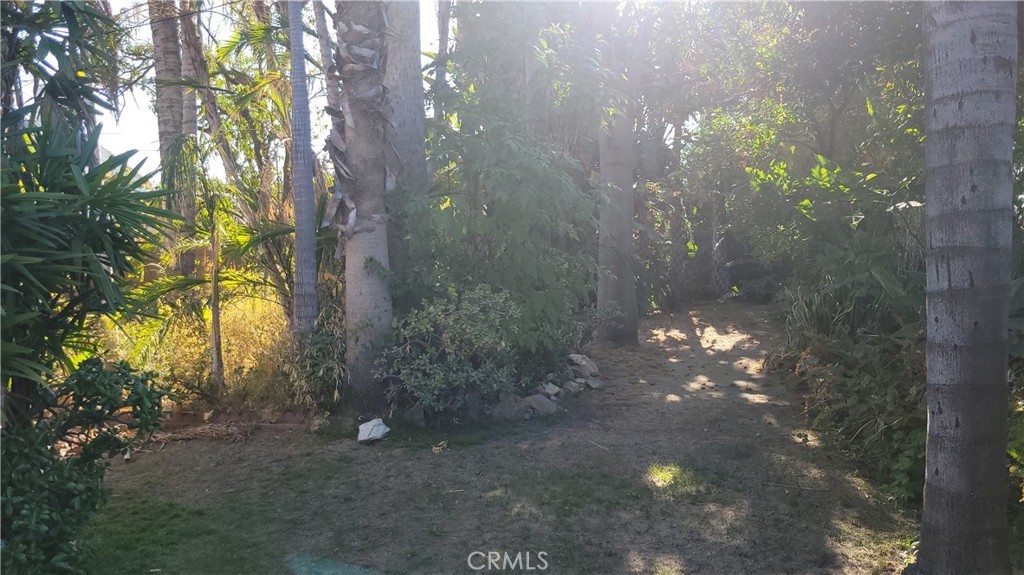 2507 E Banyan Court