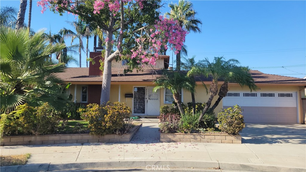 2507 E Banyan Court