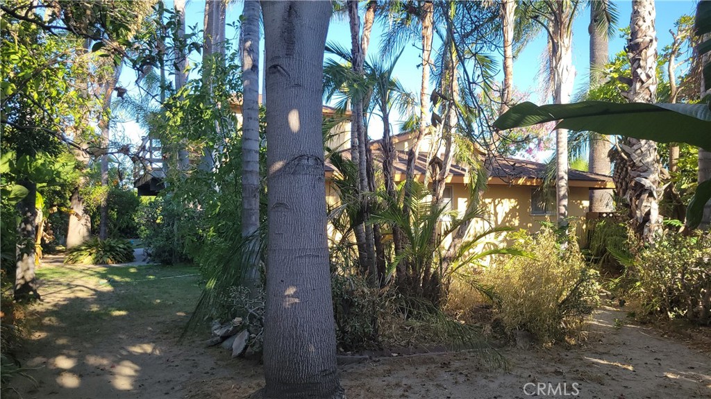 2507 E Banyan Court