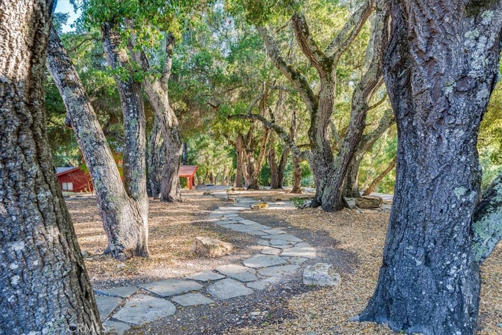 3210 Cloudy Meadow Road