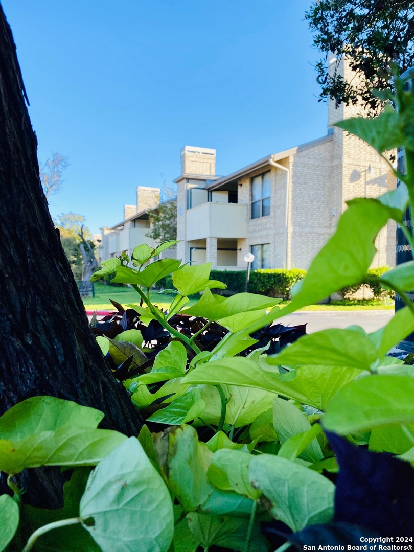 11843 BRAESVIEW Unit: 507E