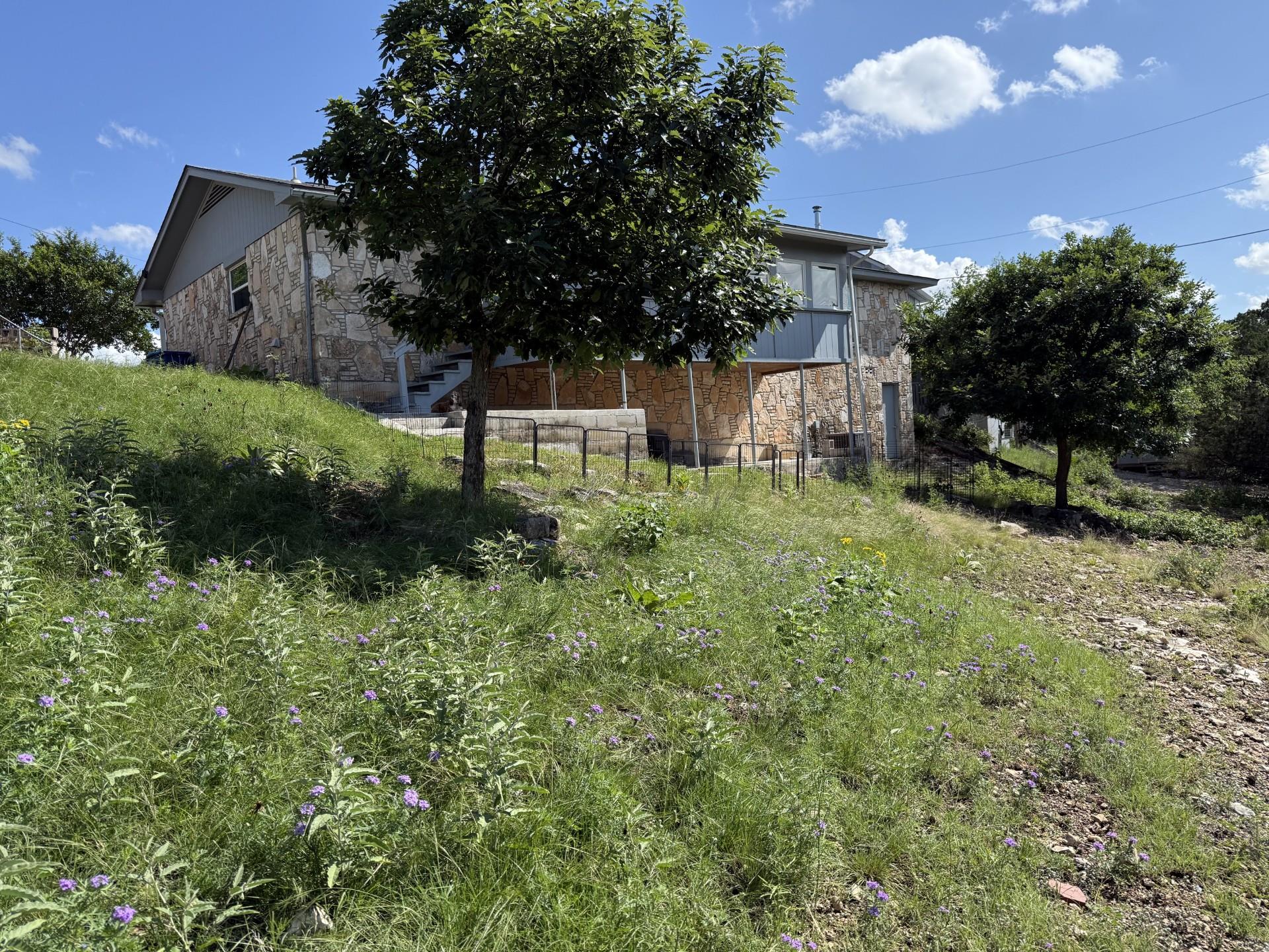 Stone-sided house on a grassy slope with trees and purple wildflowers.