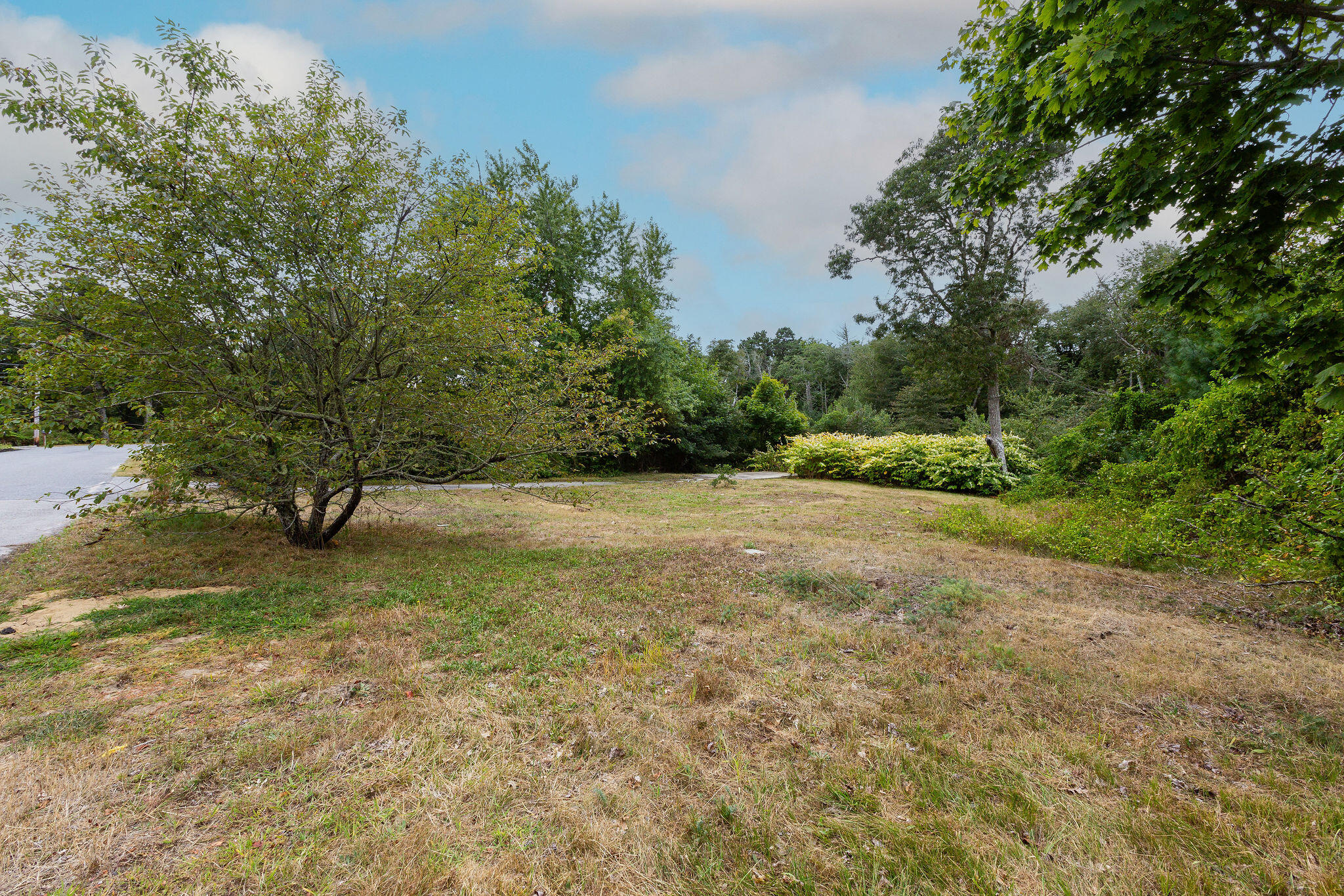 24 Indian Trail
