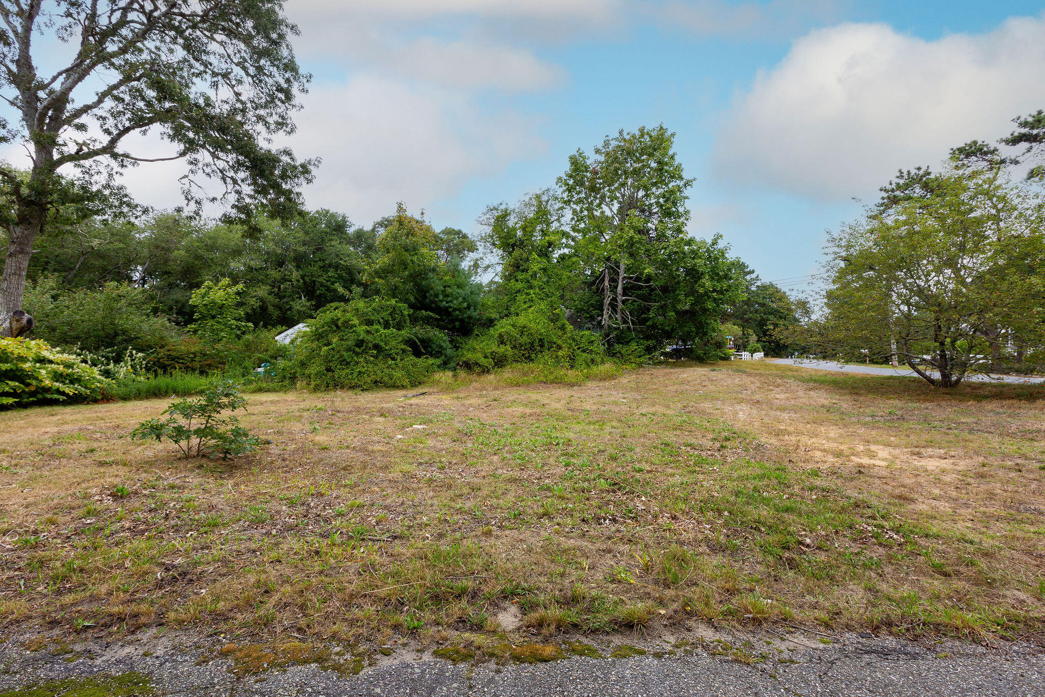 24 Indian Trail