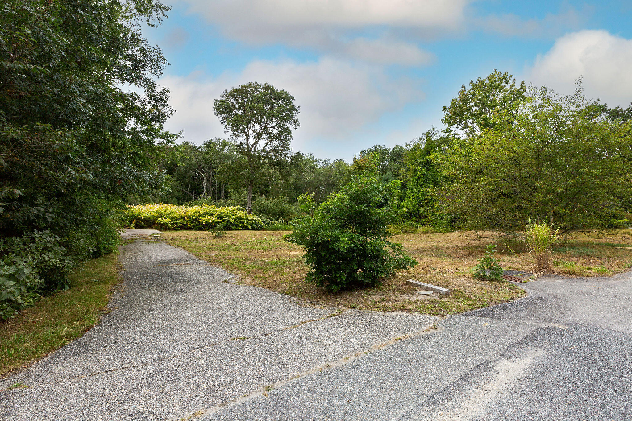 Wooded property with a paved driveway curving around a grassy clearing.