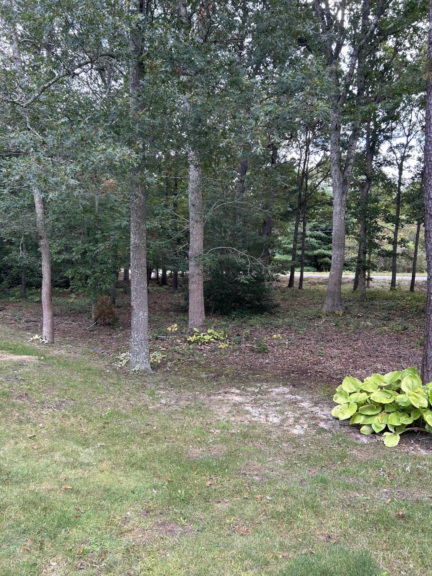 8 Bridgets Path