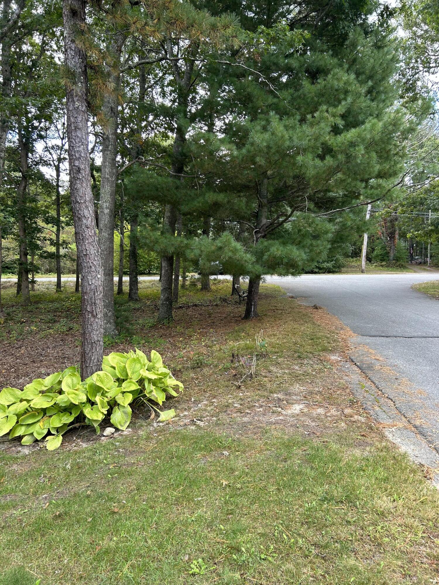 8 Bridgets Path