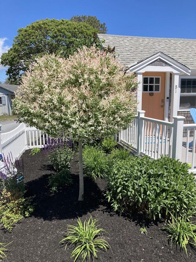 248 Old Wharf Road # B1
