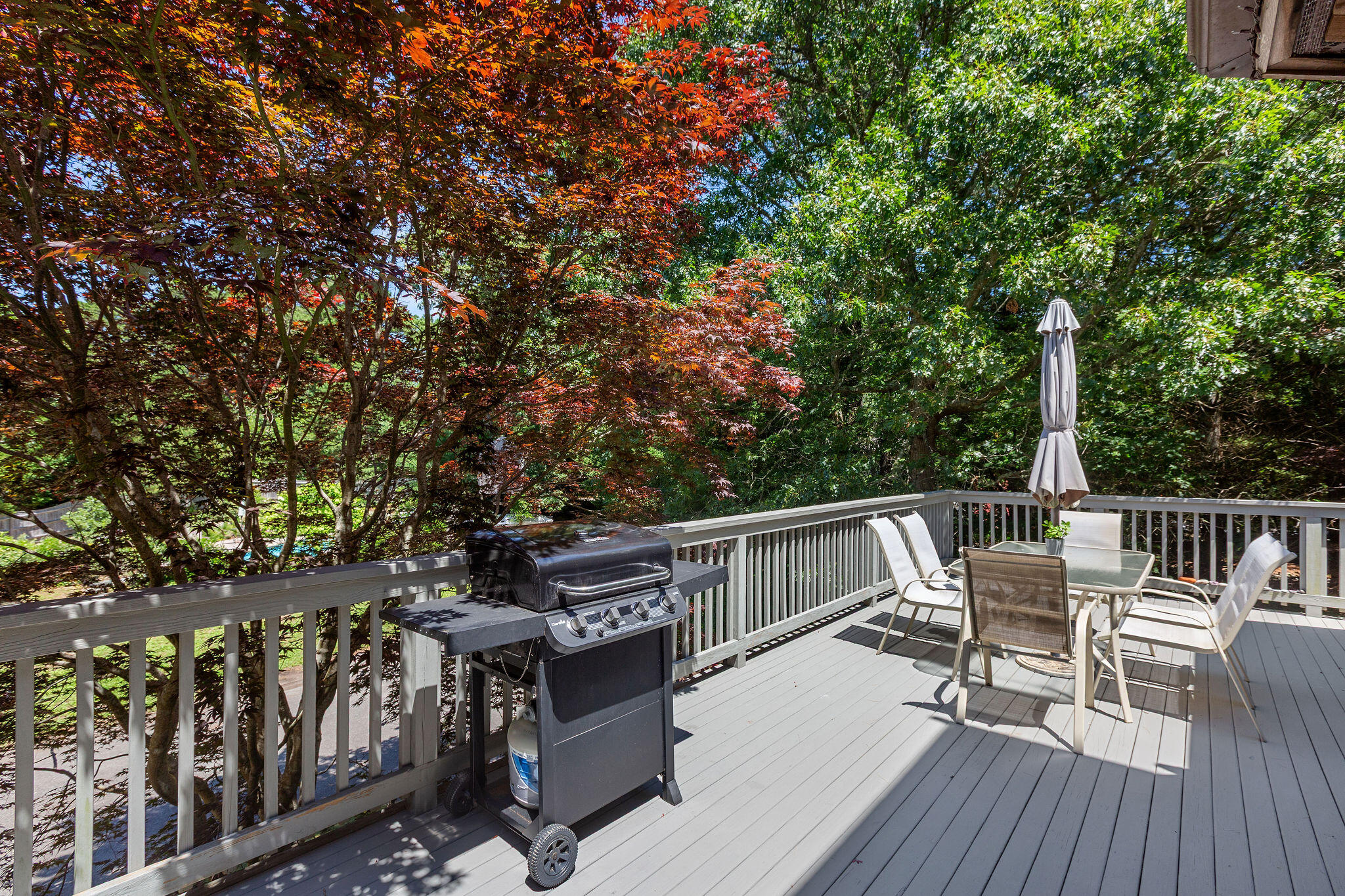 20 White Pines Drive