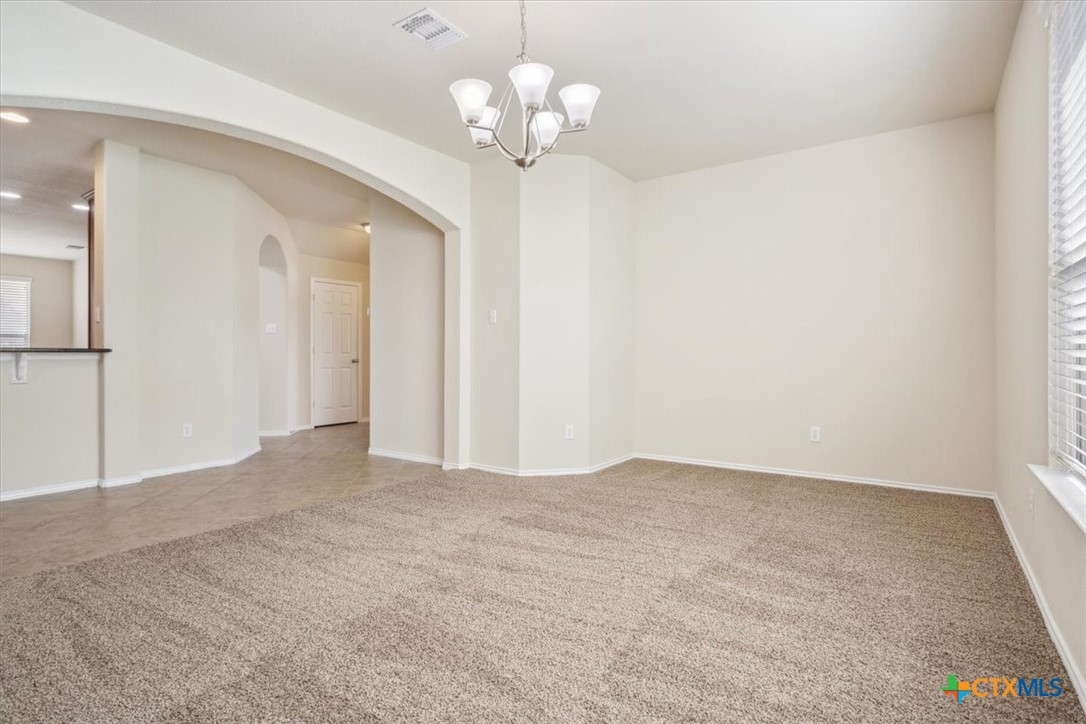 1110 Basalt Court