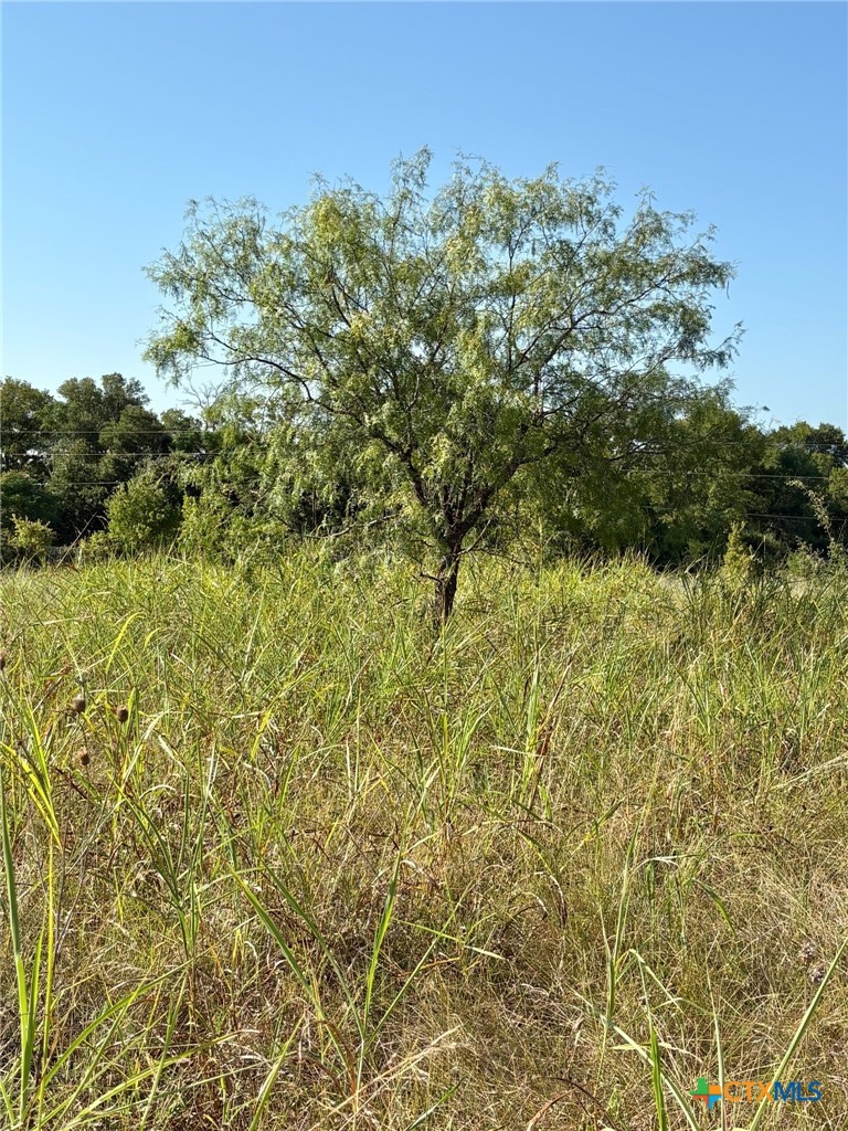 TBD Lamotte Drive