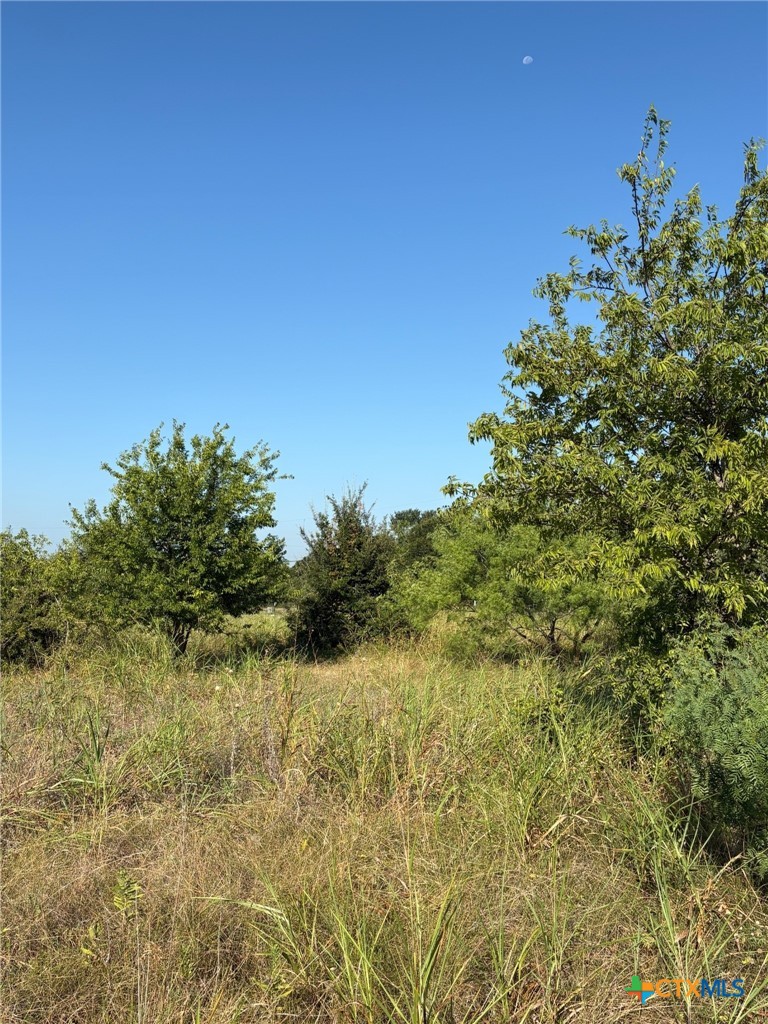 TBD Lamotte Drive