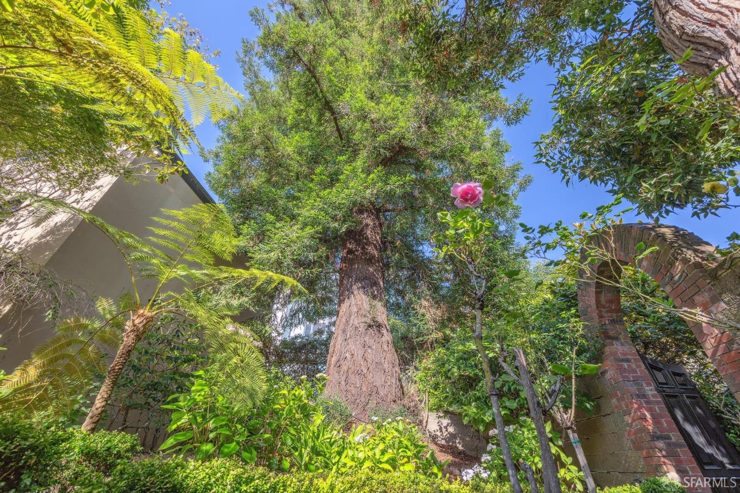 2-4 Montclair Terrace