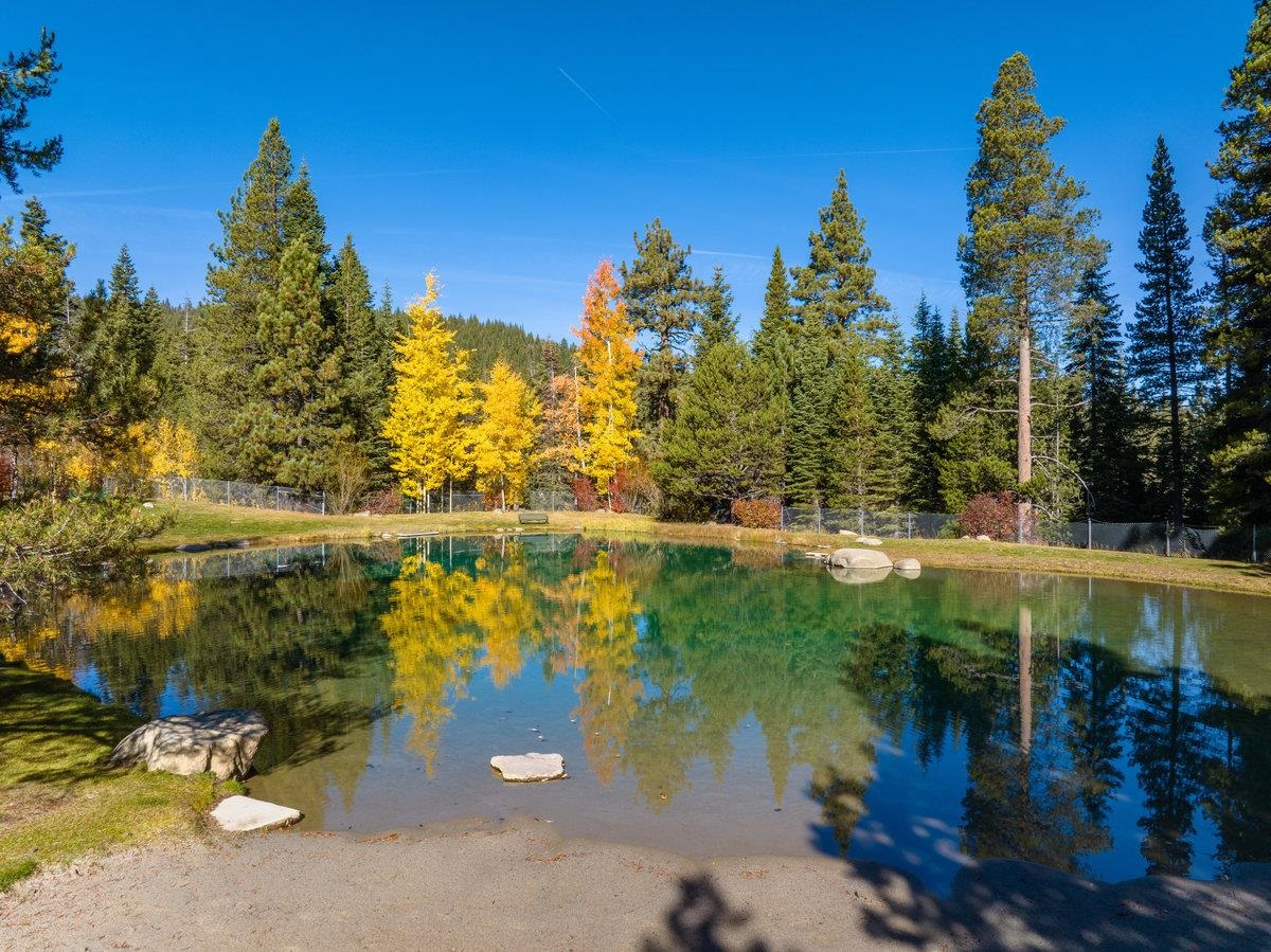 205 Alpine Meadows Road Unit: 2