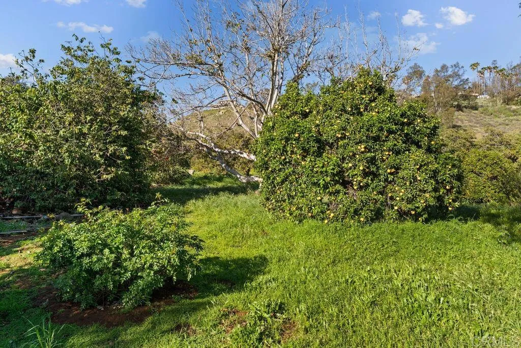 710 Buena Creek Road