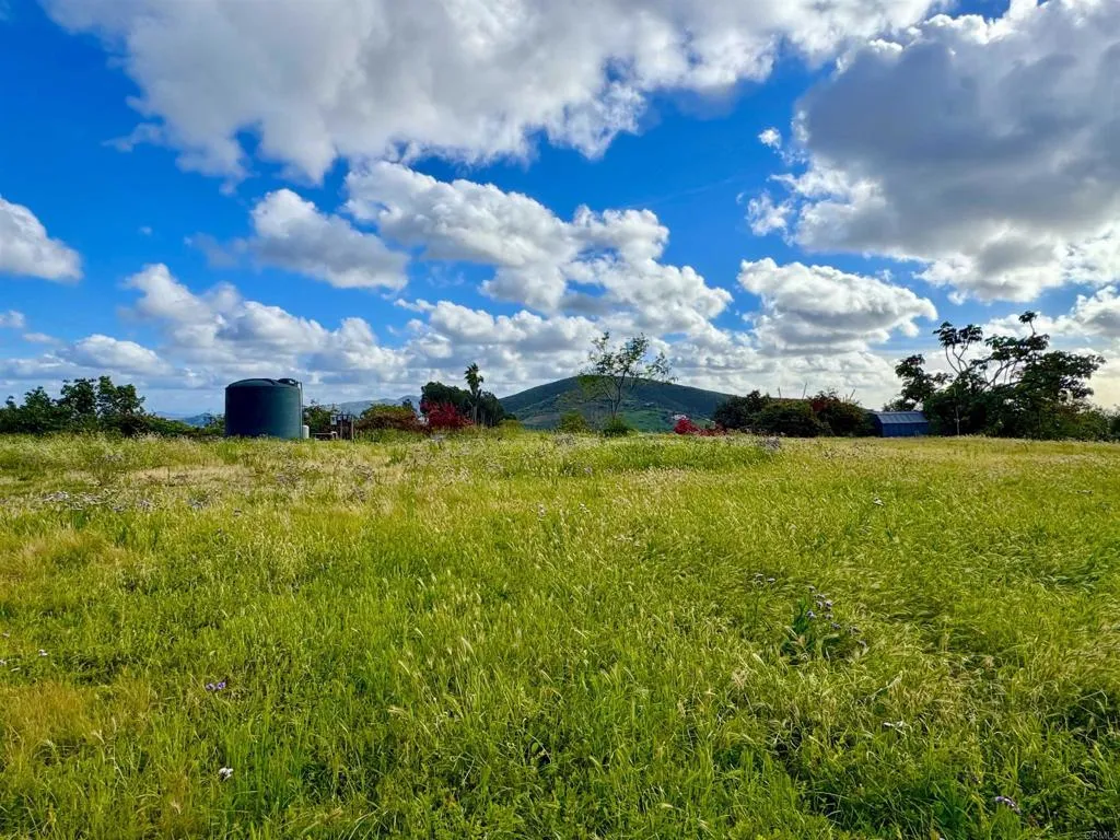 710 Buena Creek Road