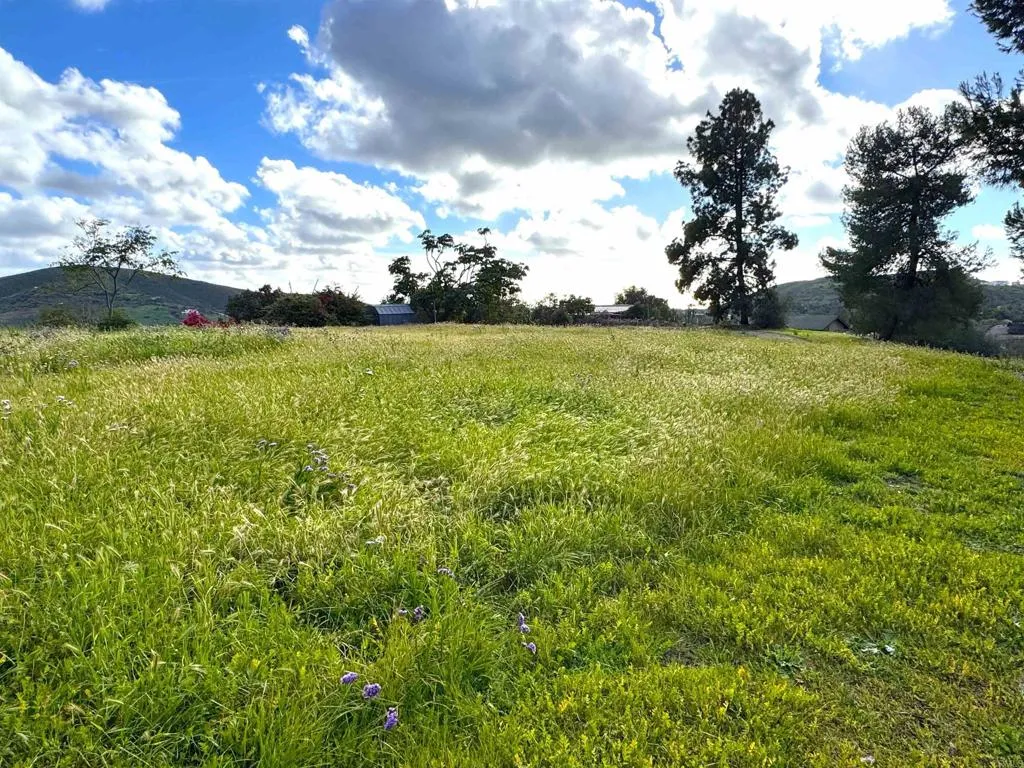 710 Buena Creek Road