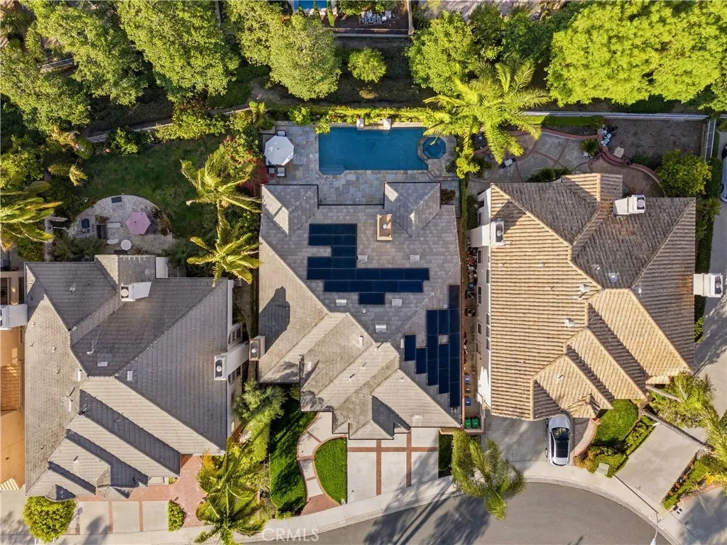26952 Willow Tree
