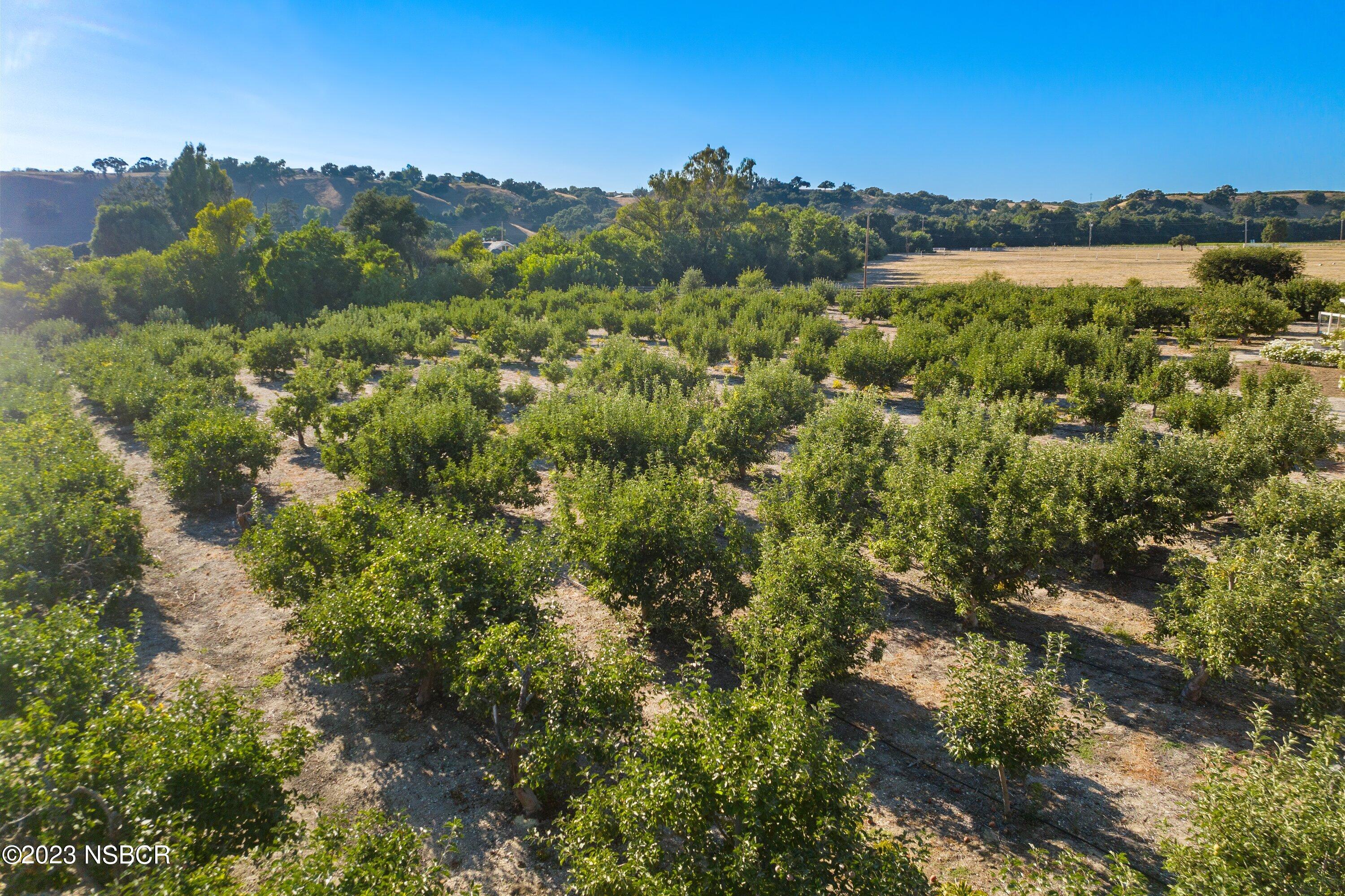 1226 Alamo Pintado Road