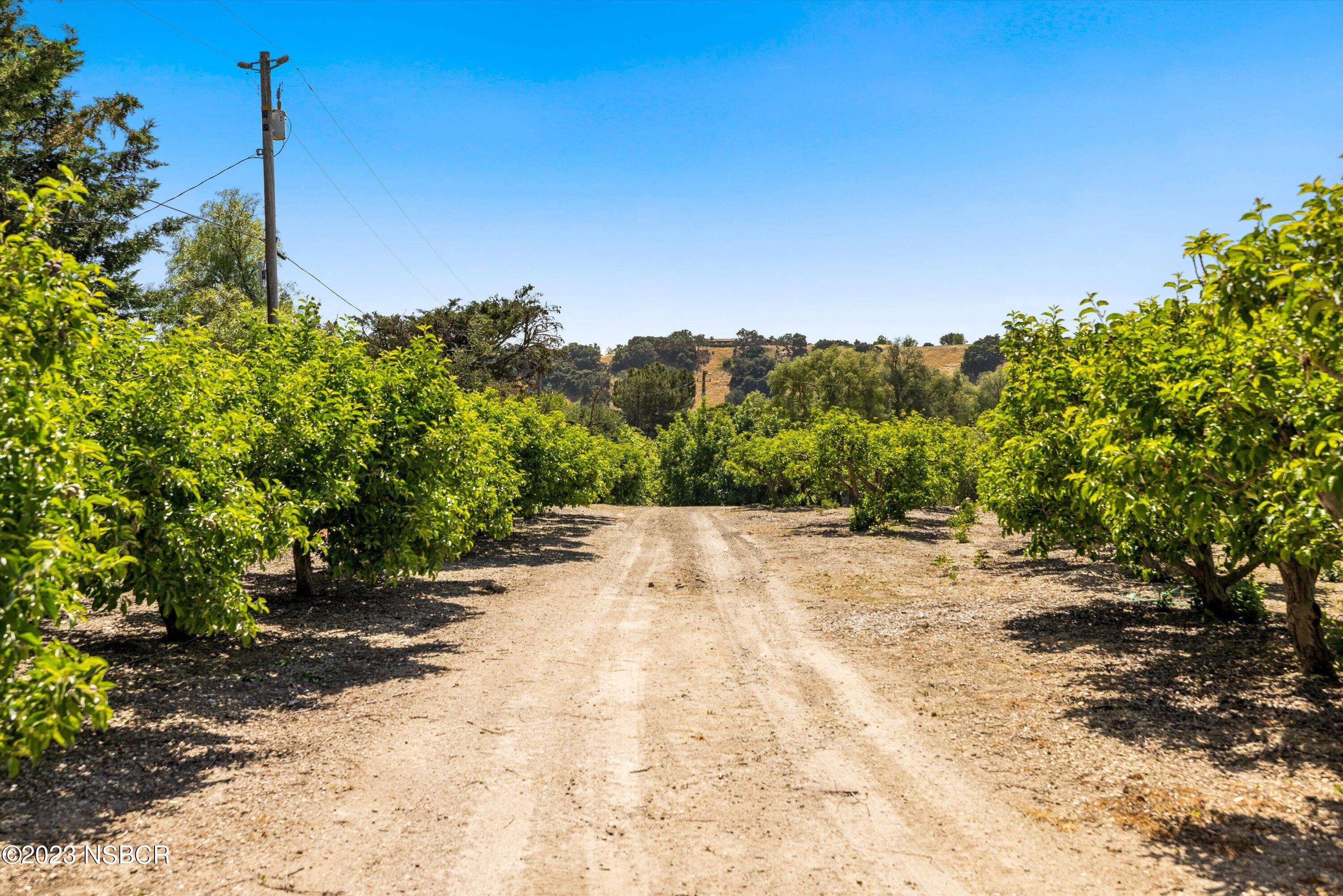 1226 Alamo Pintado Road