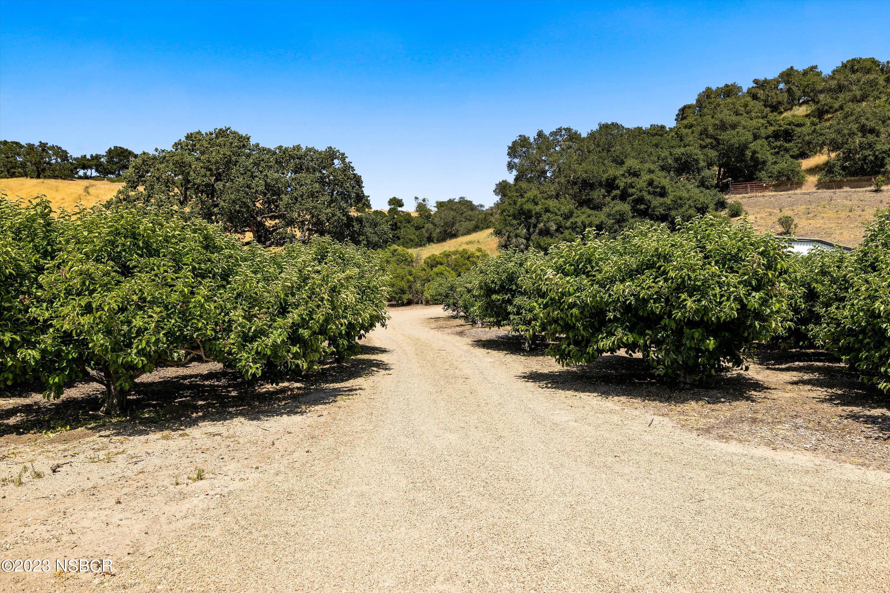 1226 Alamo Pintado Road