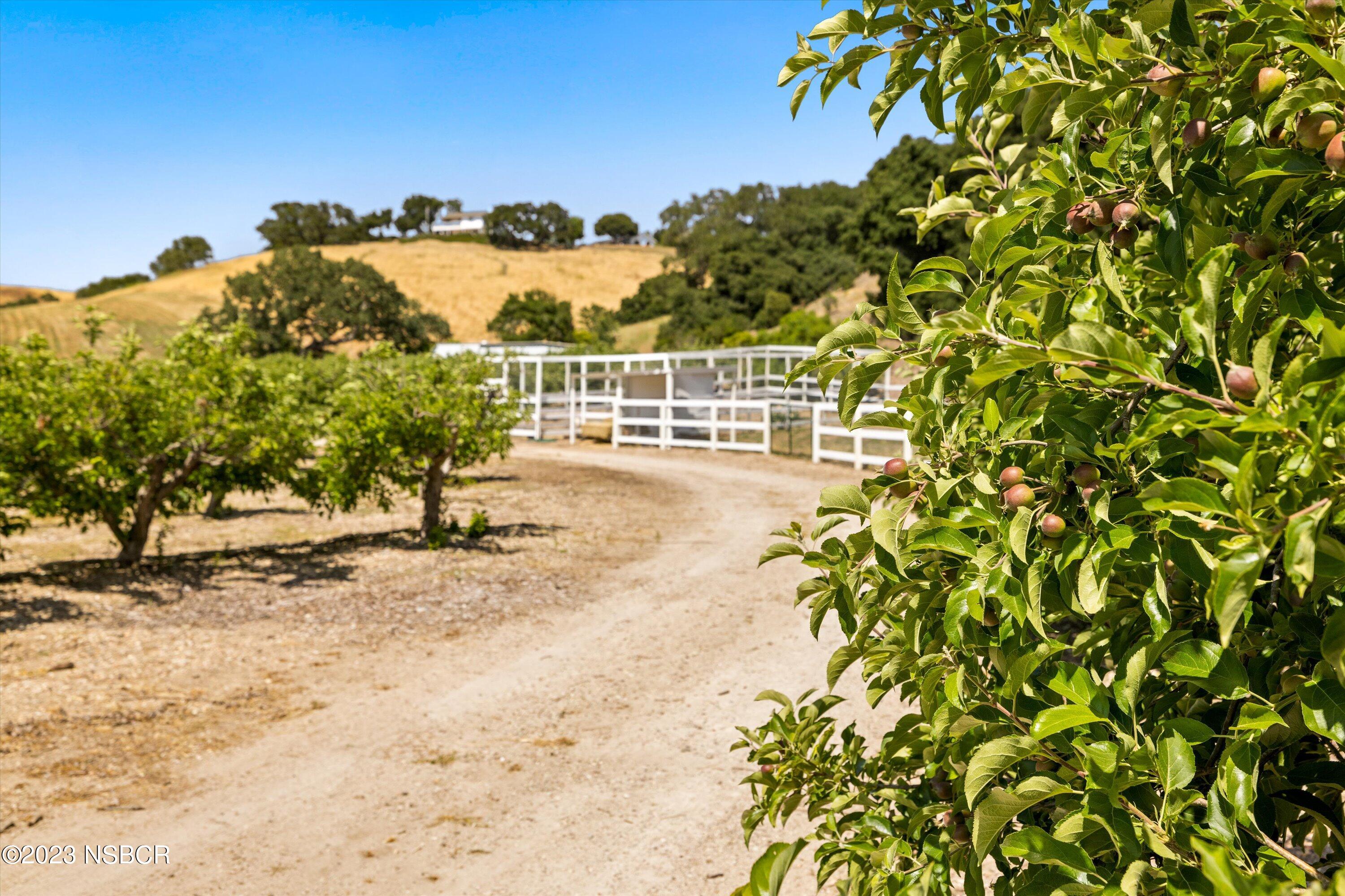 1226 Alamo Pintado Road