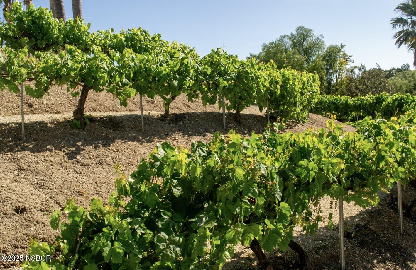 1551-1553 Meadowvale Road