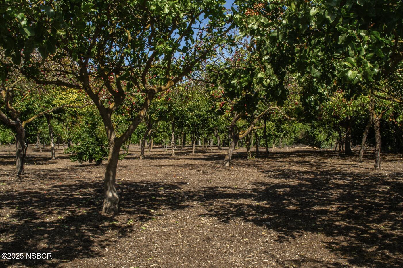 1551-1553 Meadowvale Road