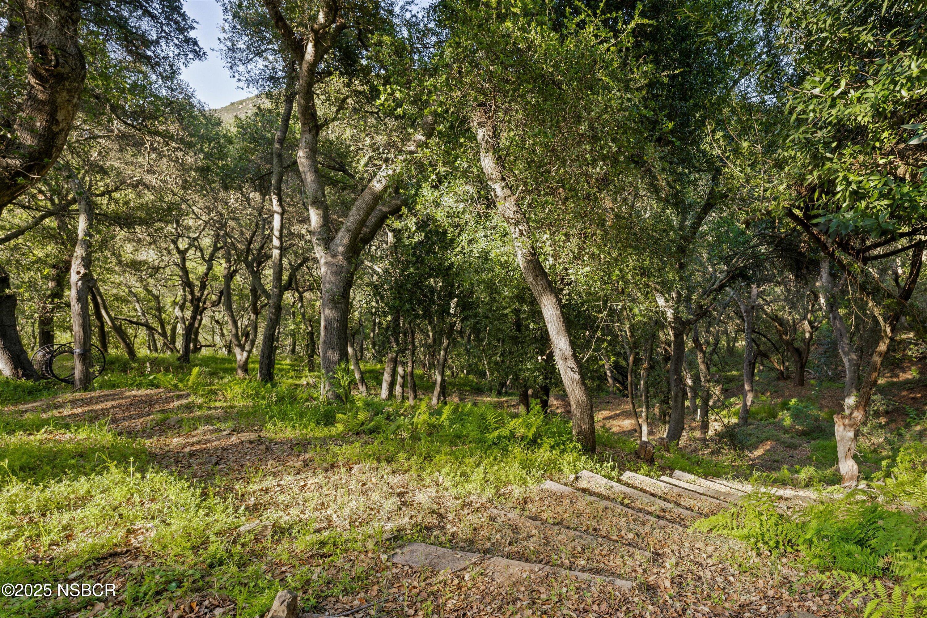 5150 E E Camino Cielo