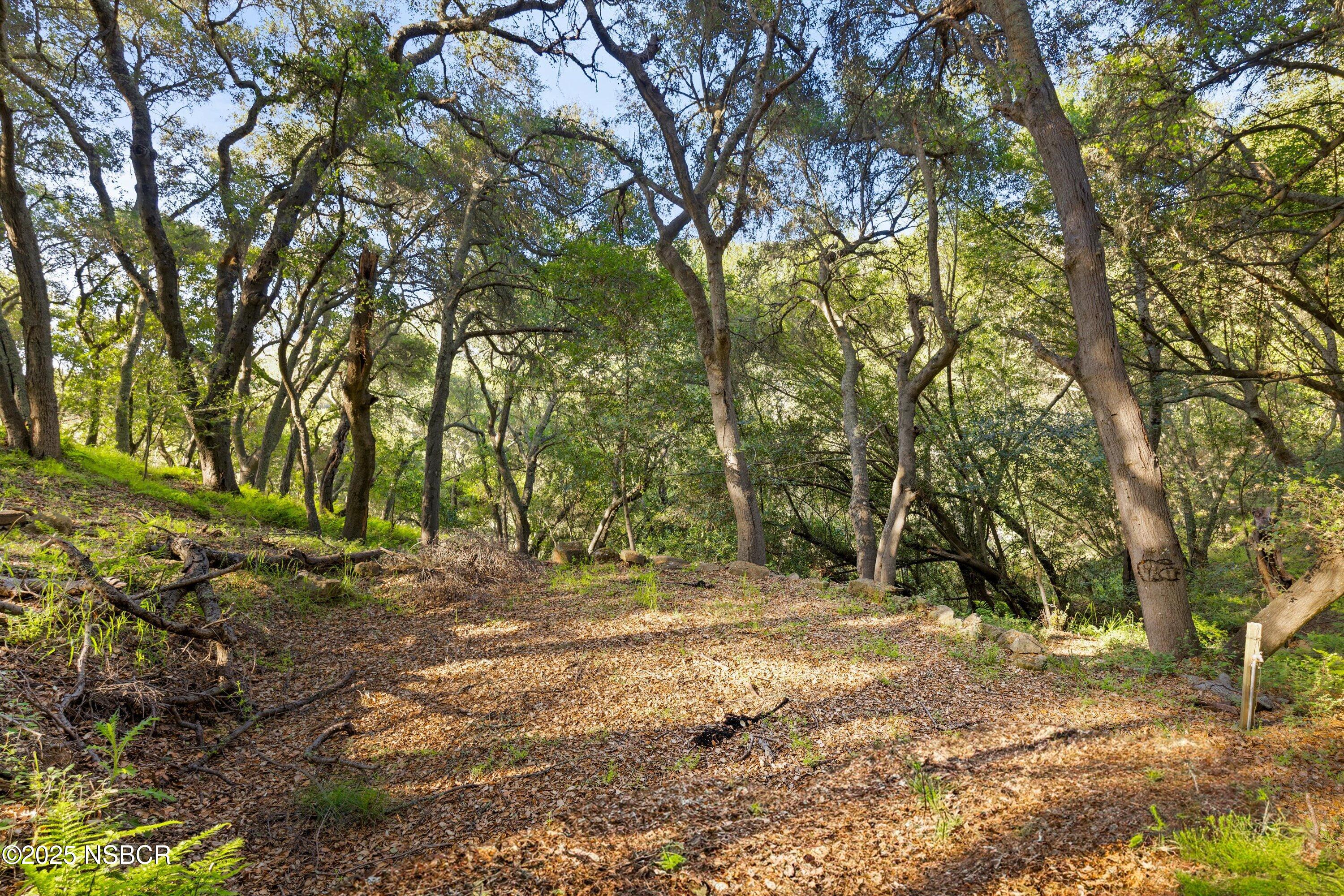 5150 E E Camino Cielo