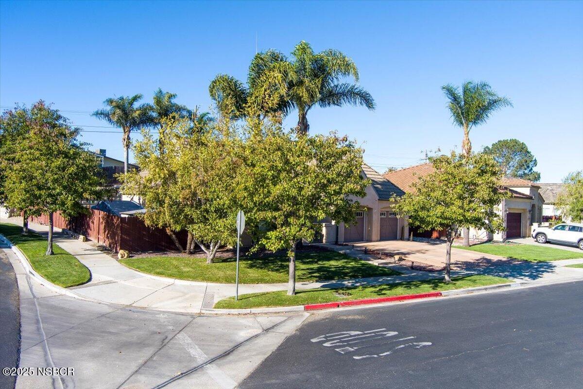 561 Andromenda Drive