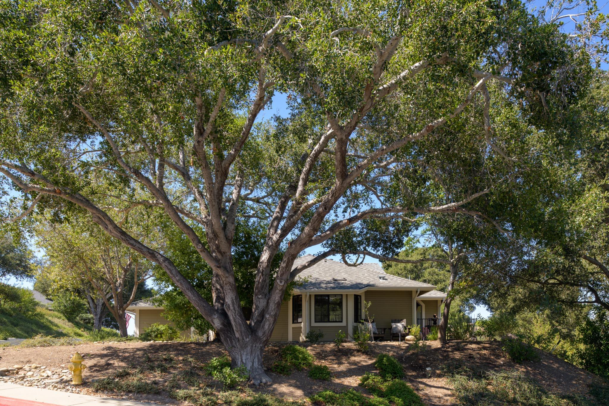 750 Hillside Drive
