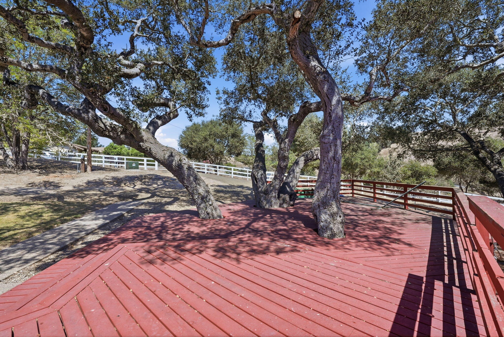 1245 Fredensborg Canyon Road
