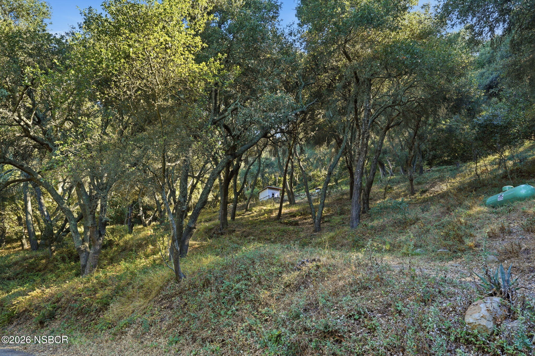5150 E Camino Cielo