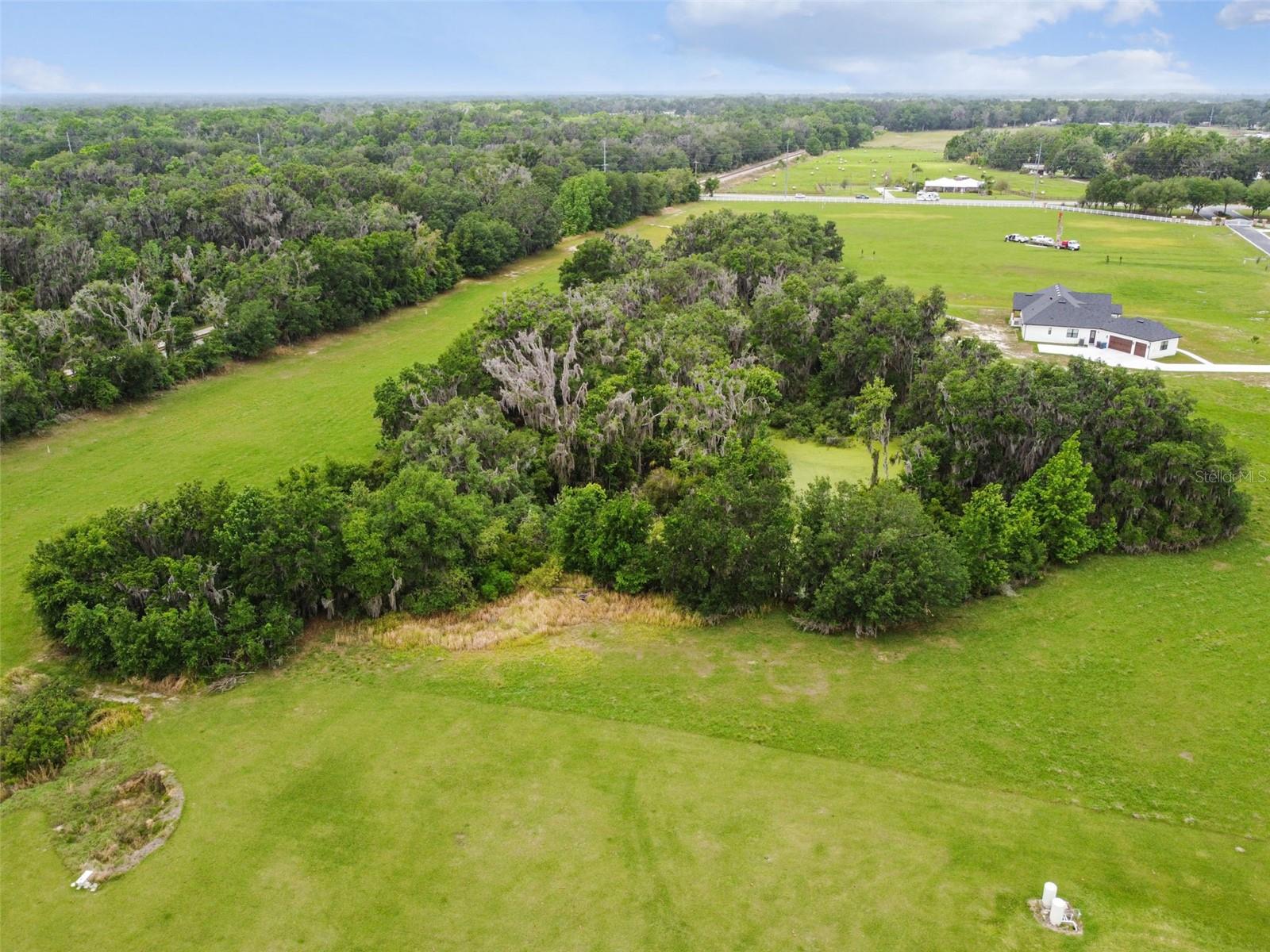 117 ALAFIA ESTATES LN