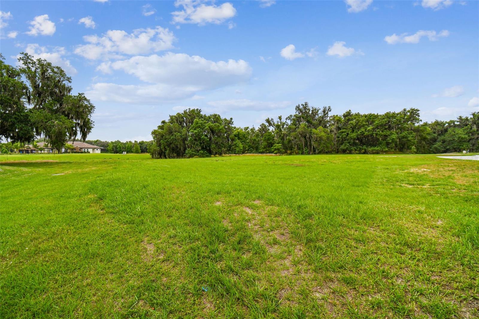 117 ALAFIA ESTATES LN