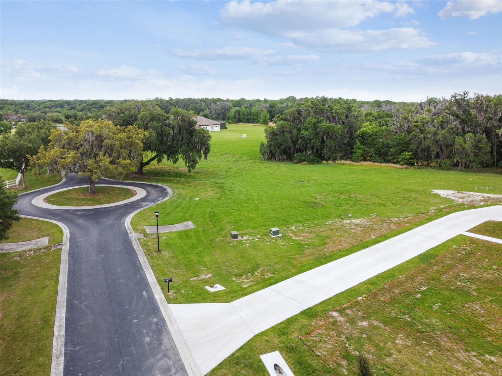 117 ALAFIA ESTATES LN