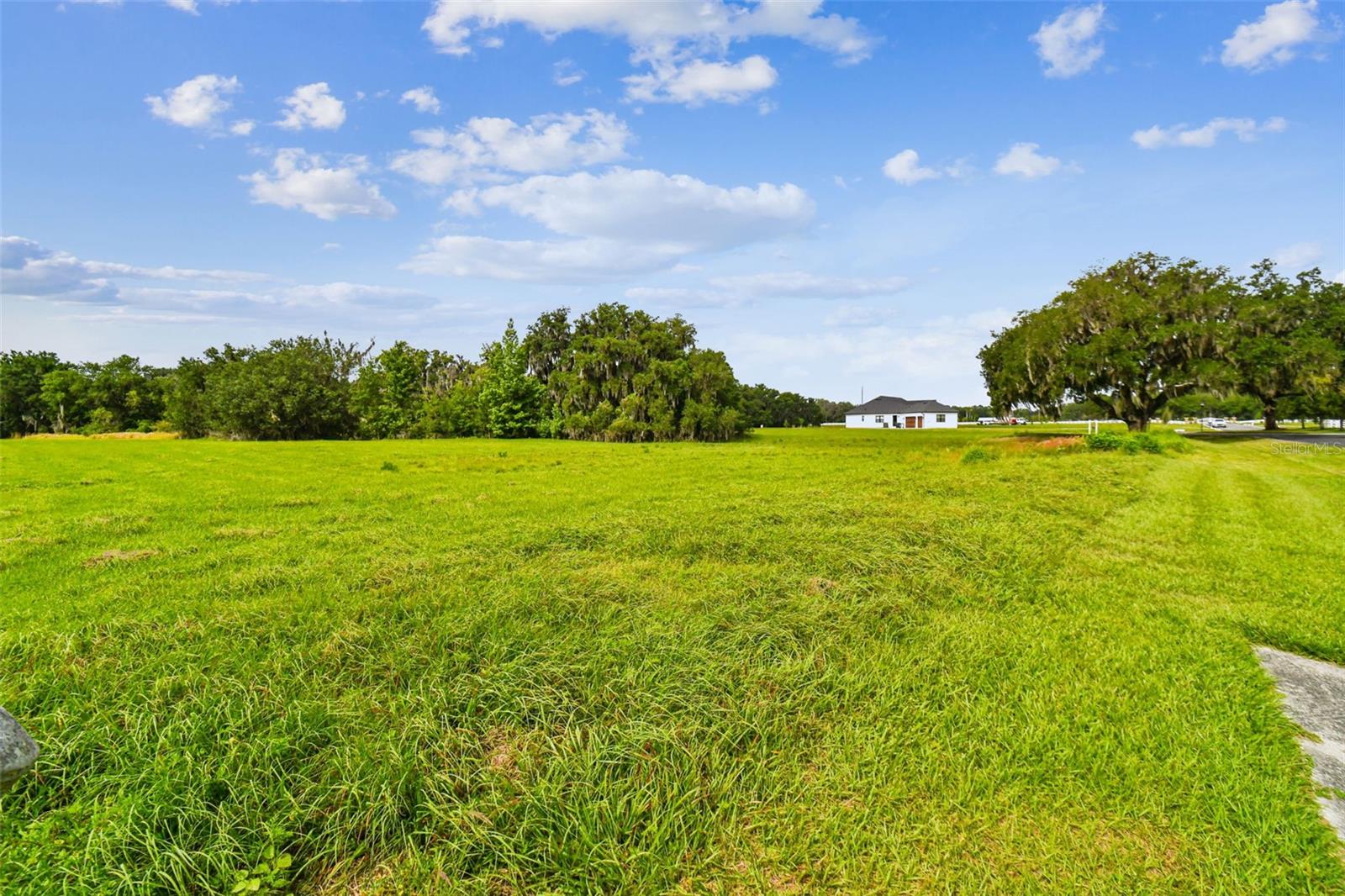 117 ALAFIA ESTATES LN