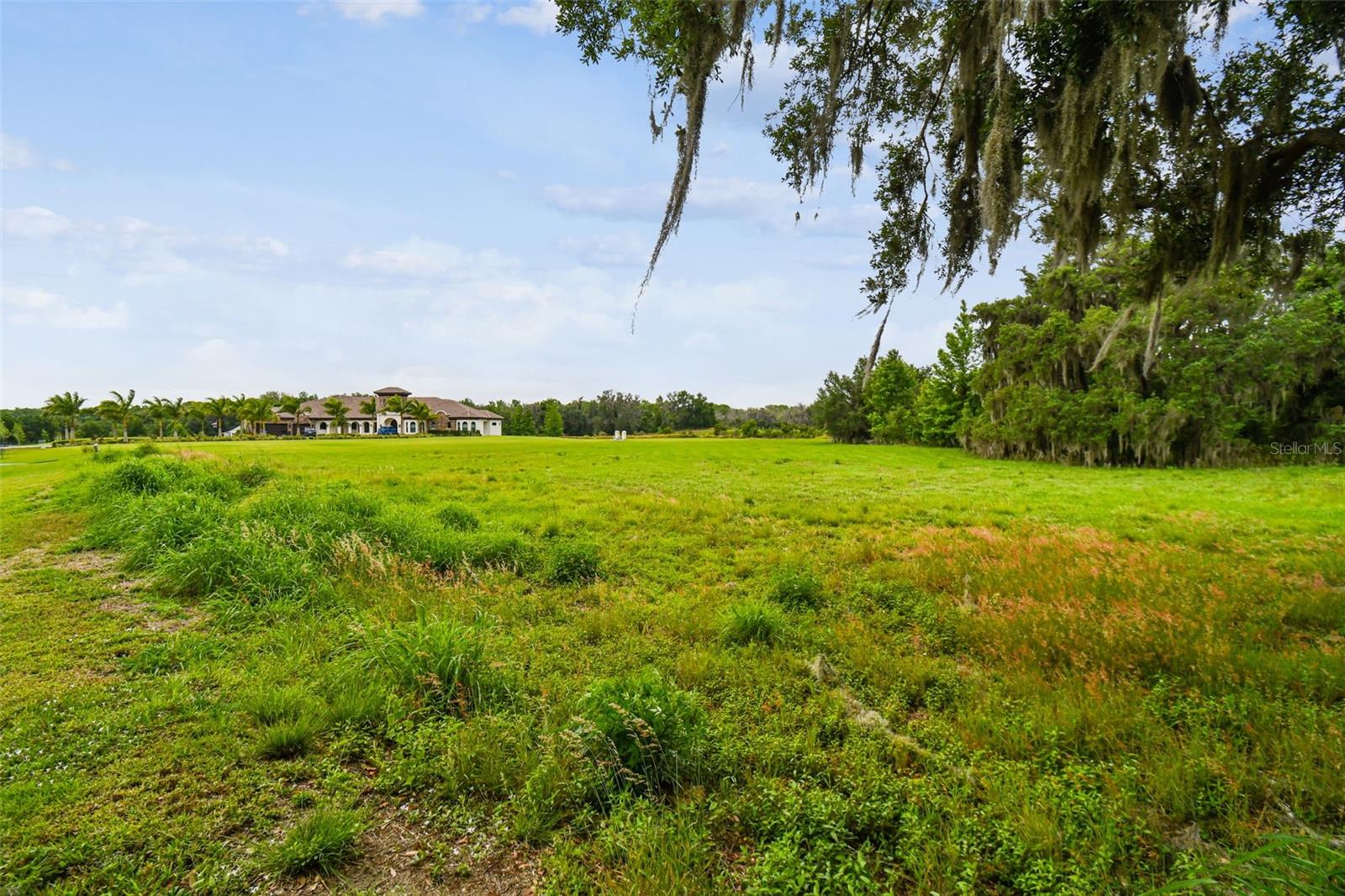 117 ALAFIA ESTATES LN